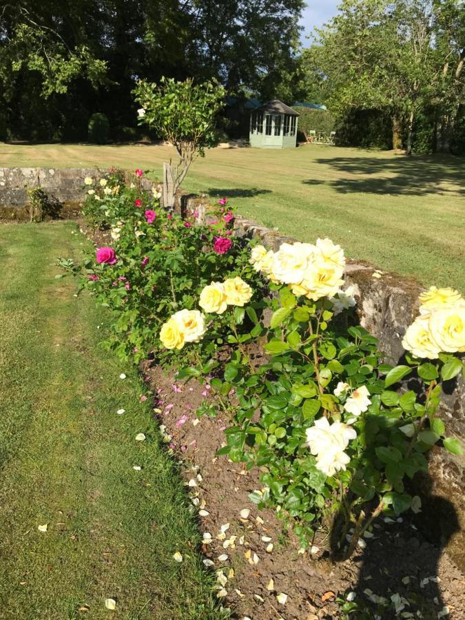 South Craighall B&B Eaglesham エクステリア 写真