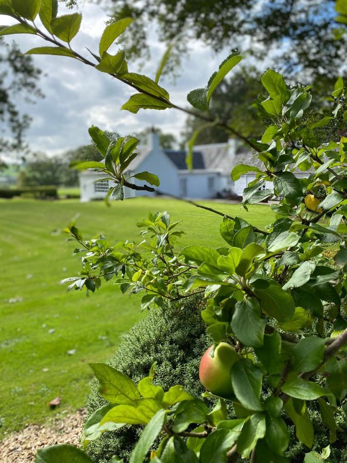 South Craighall B&B Eaglesham エクステリア 写真