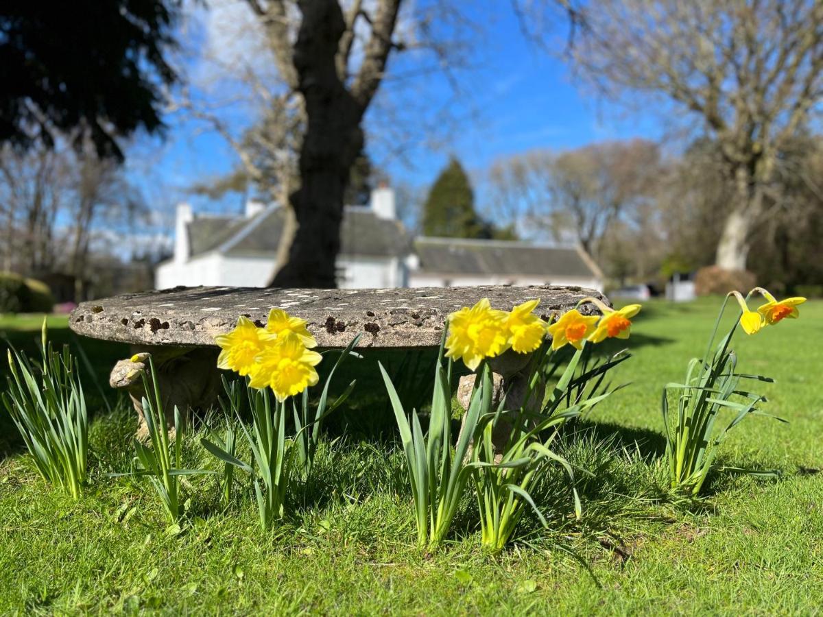 South Craighall B&B Eaglesham エクステリア 写真