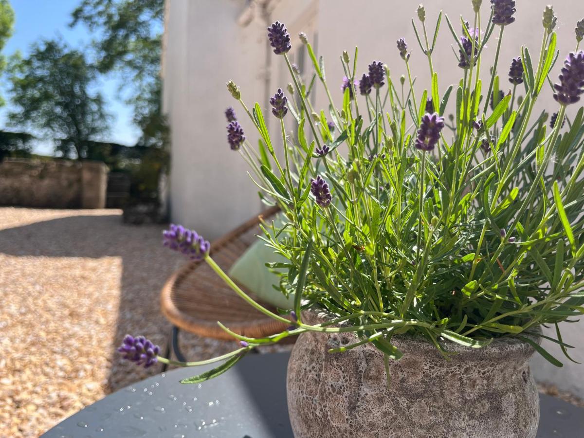 South Craighall B&B Eaglesham エクステリア 写真